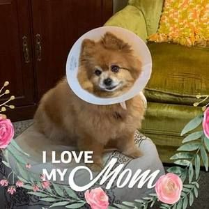 Meet your Posher, Irene